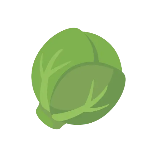 Brussels sprout icon