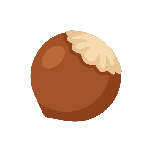 Hazelnut icon