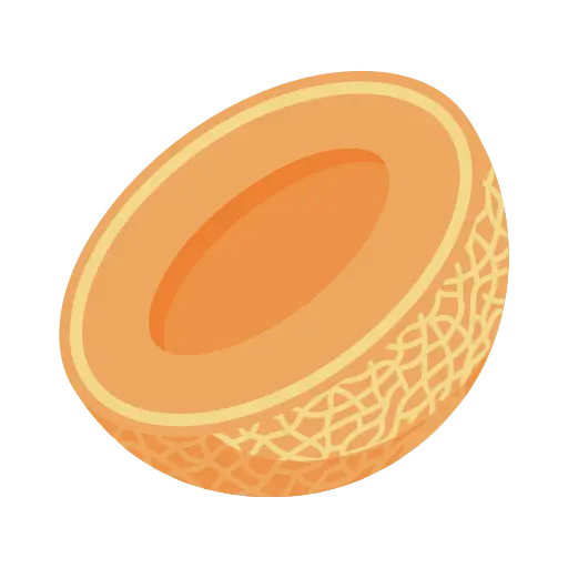 Melon icon